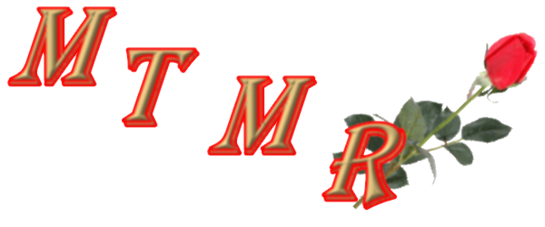 a-MTMR.png