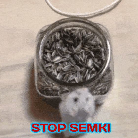 GIF-20250727-085349-545.gif