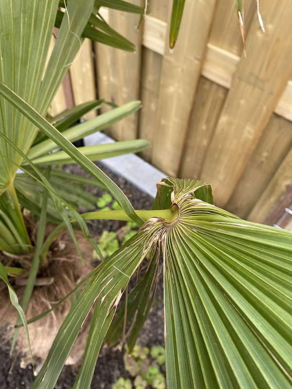 80B52CC8-9561-49DA-B0EB-C7F0471BA14A