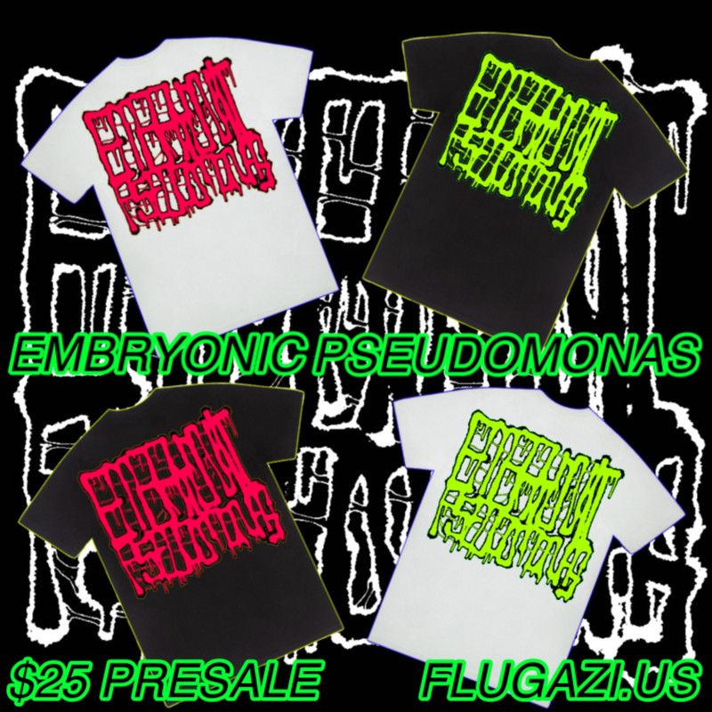 Untitled1305 20260215194035