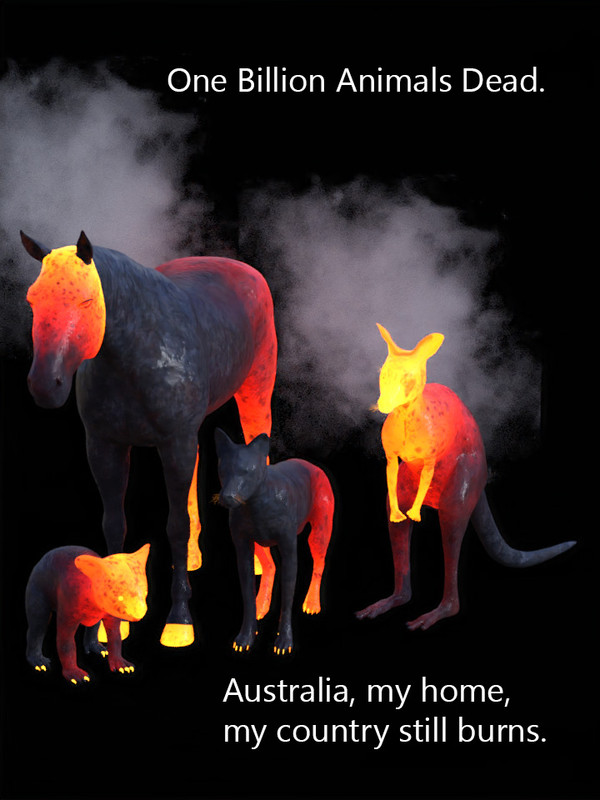 MyCountryStillBurns