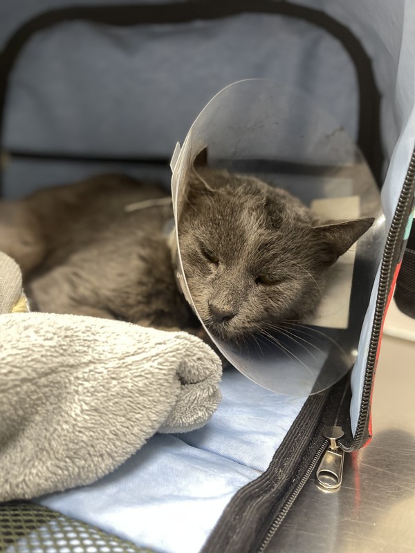 F431A5D2-ACF8-4522-9B93-77143D4B040D