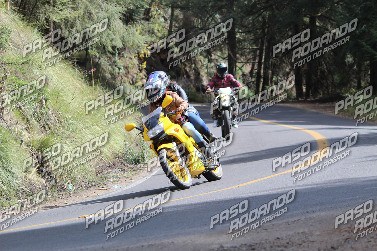 IMG 8041 wm 4409687 6 watermarked — Postimages