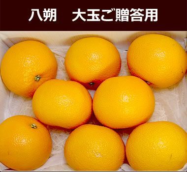 c2204226 84ca 426e a666 a23dd0c917a5