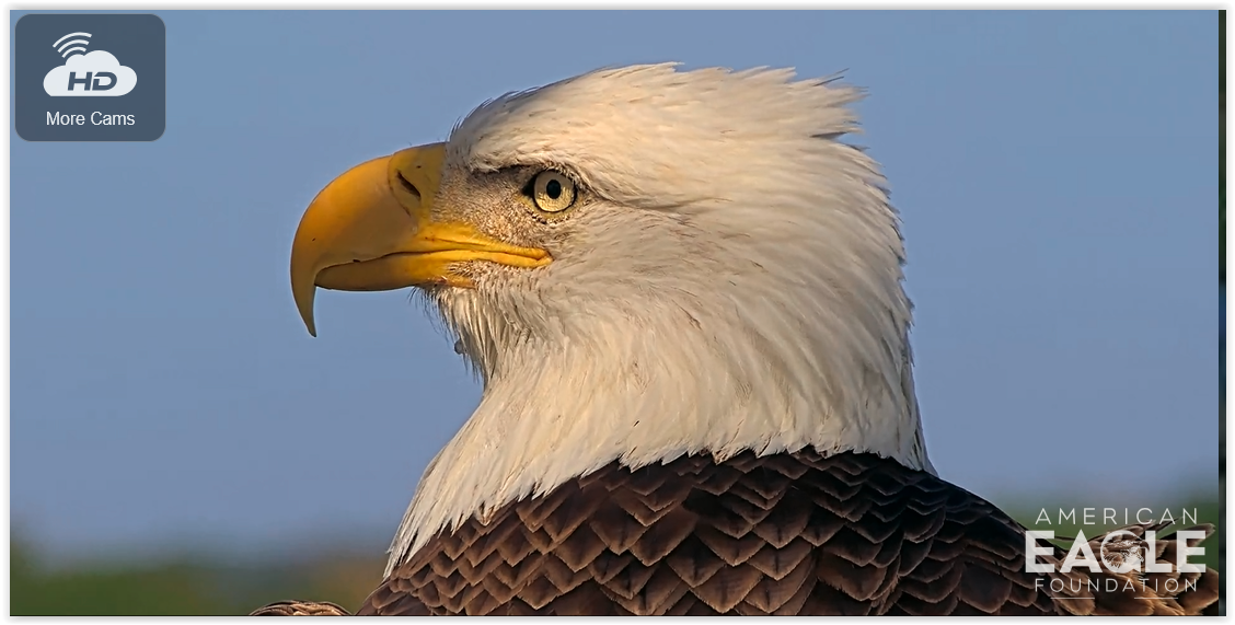 Screen Shot 11 07 25 at 06 07 PM 002