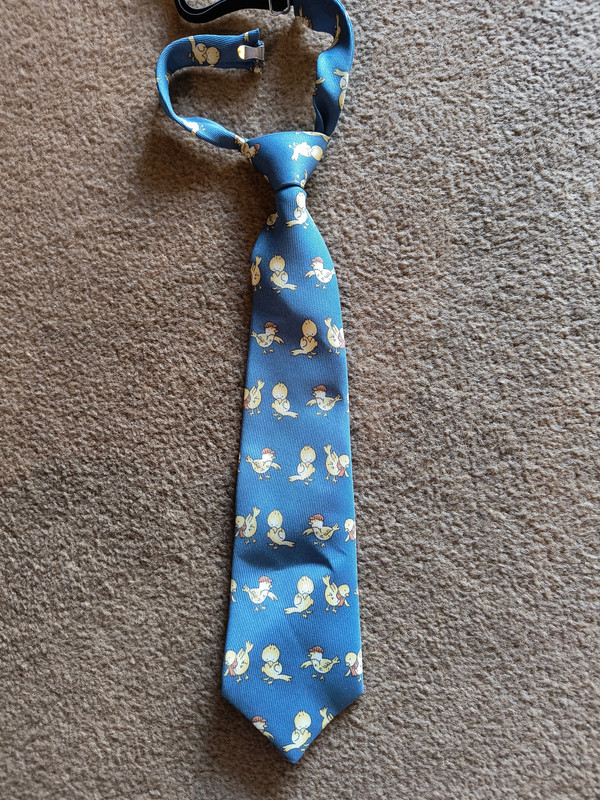 Blue Duckling Tie