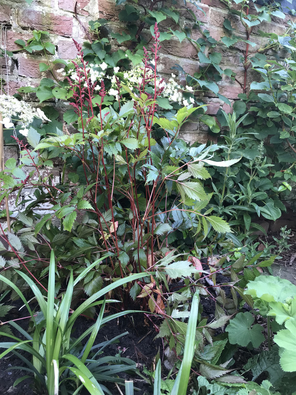 07D5578F-4D3B-49F2-942C-C7BA92719197