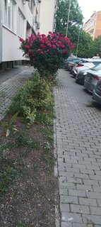 IMG_20230526_192611