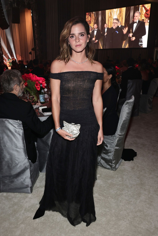 emmawatson-photogallery.blogspot.com (1)
