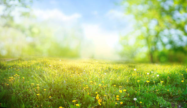 istockphoto 1301592082 612x612