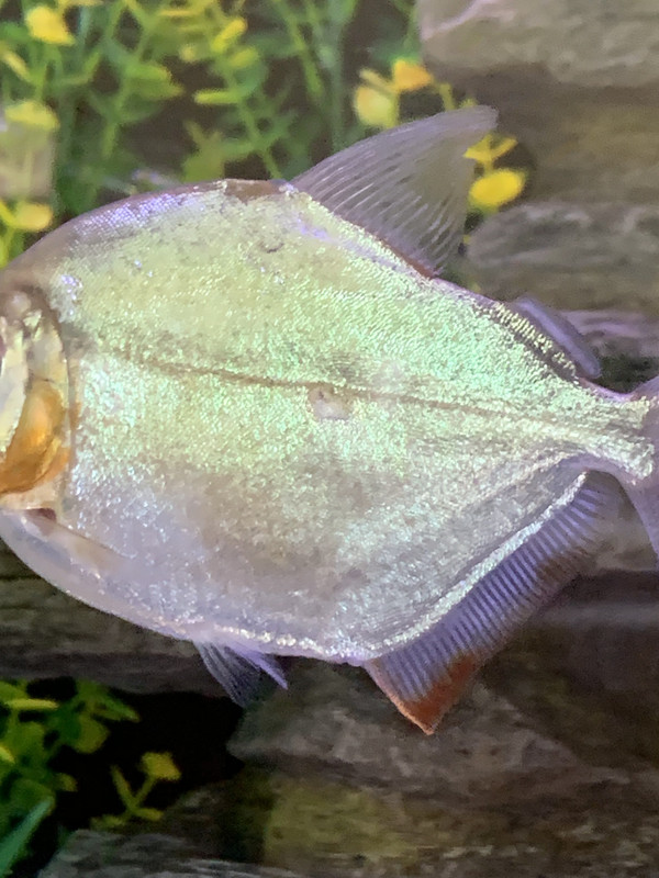 4F55CBA8-6A82-4A7C-A7A3-C51E304AA7DC