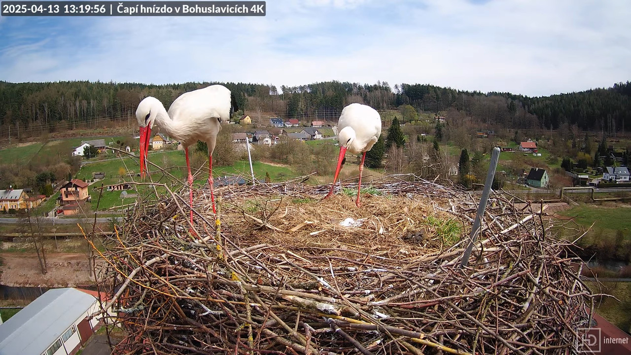 Živě z čapího komína firmy KARA v Bohuslavicích u Trutnova 14-50-40 screenshot