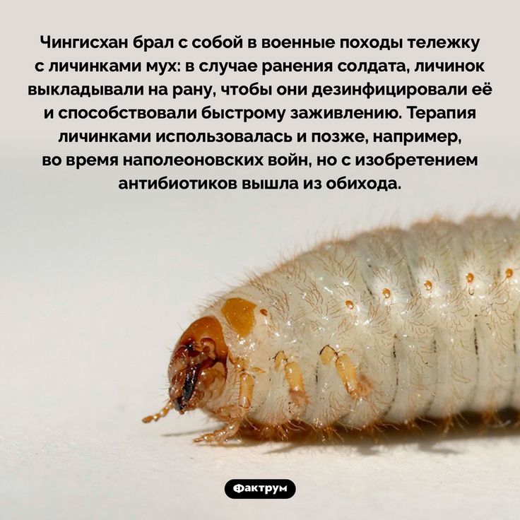 [Изображение: cd6cb96052d11f50be2d7aeb26aa057a.jpg]