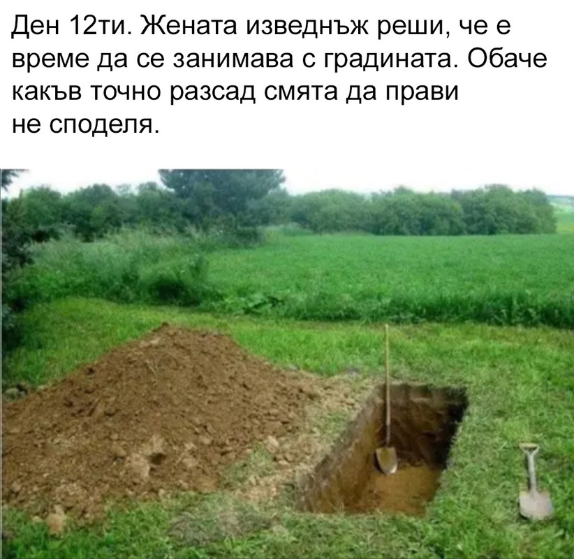 14153475