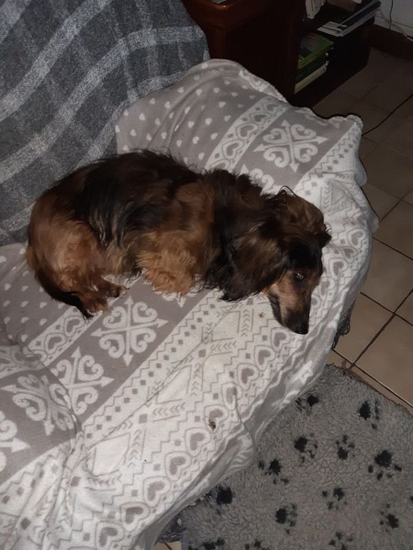 [Image: 20230502-121946.jpg]