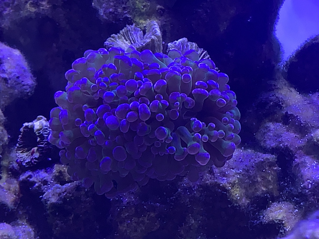 10A91A5B-8741-4DCB-AD56-EB2DBE81614F