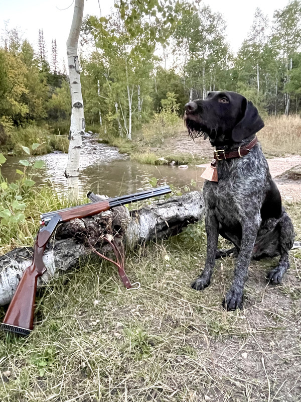 3D61C226-753E-451E-8368-488BC4452404