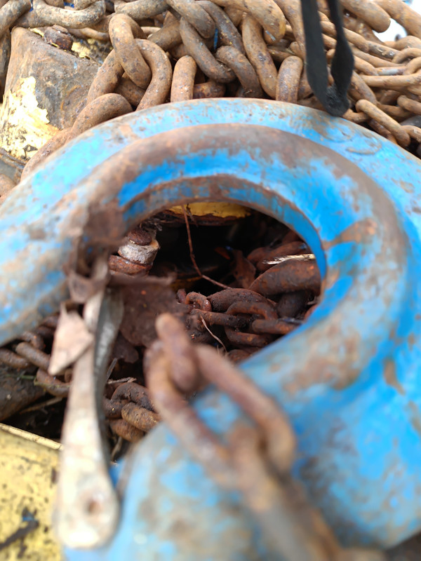 IMG 20251216 133509 422