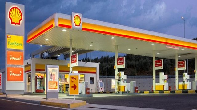 shell9999.jpg