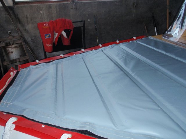 mimosos en berisso 210