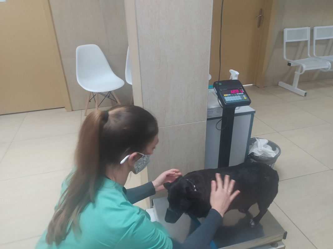 изображение_viber_2021-09-29_01-02-02-237