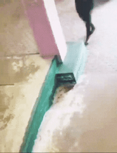 25.gif