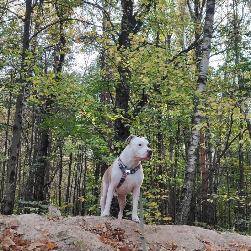 photo_2023-10-03_09-53-05 (2)