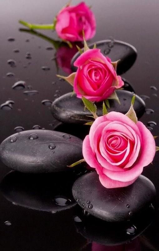 flowerspaelpink.jpg