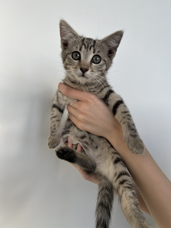 6CAF660F-E29D-451A-8AC3-A6568CDC0C6C