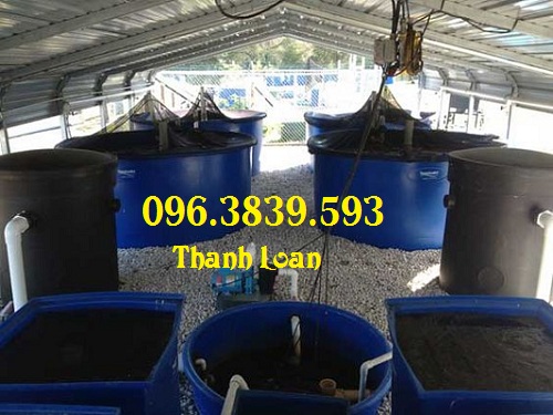 thung-nhua-thi-cong-he-thong-aquaponics-1.jpg