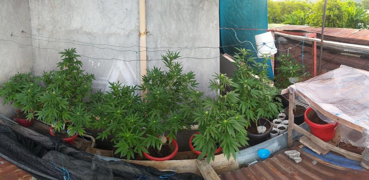 PANO_20230201_062929.vr