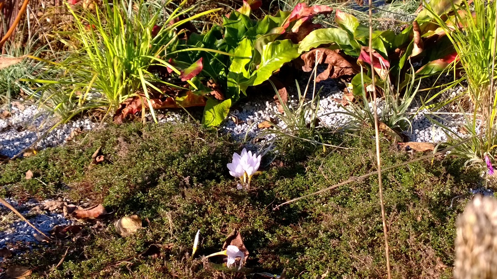 WP_20131112_14_56_41_Pro (3072x1728)