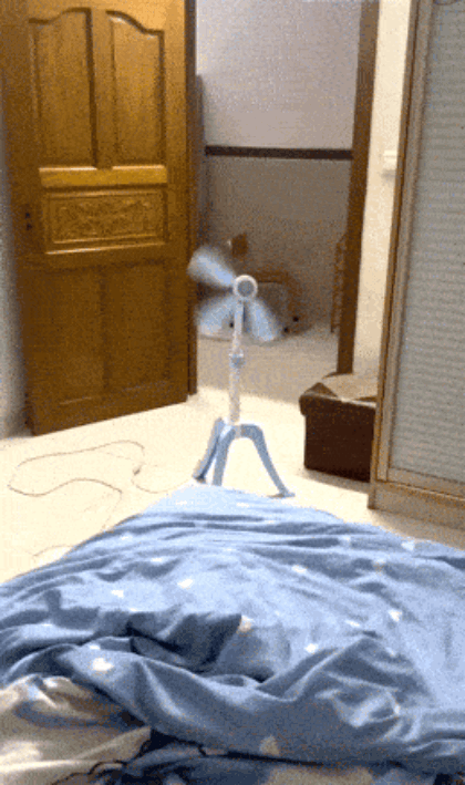 41.gif