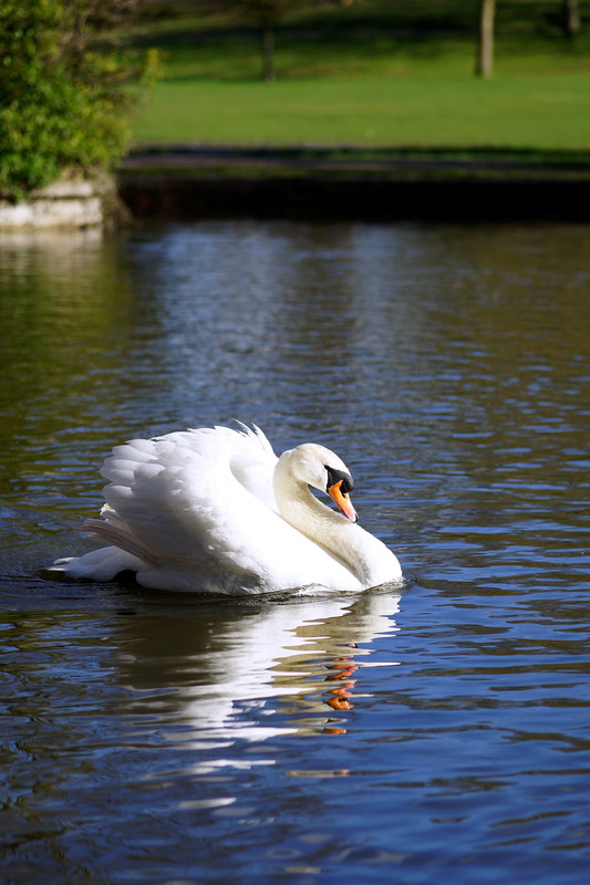 DSC02790.jpg