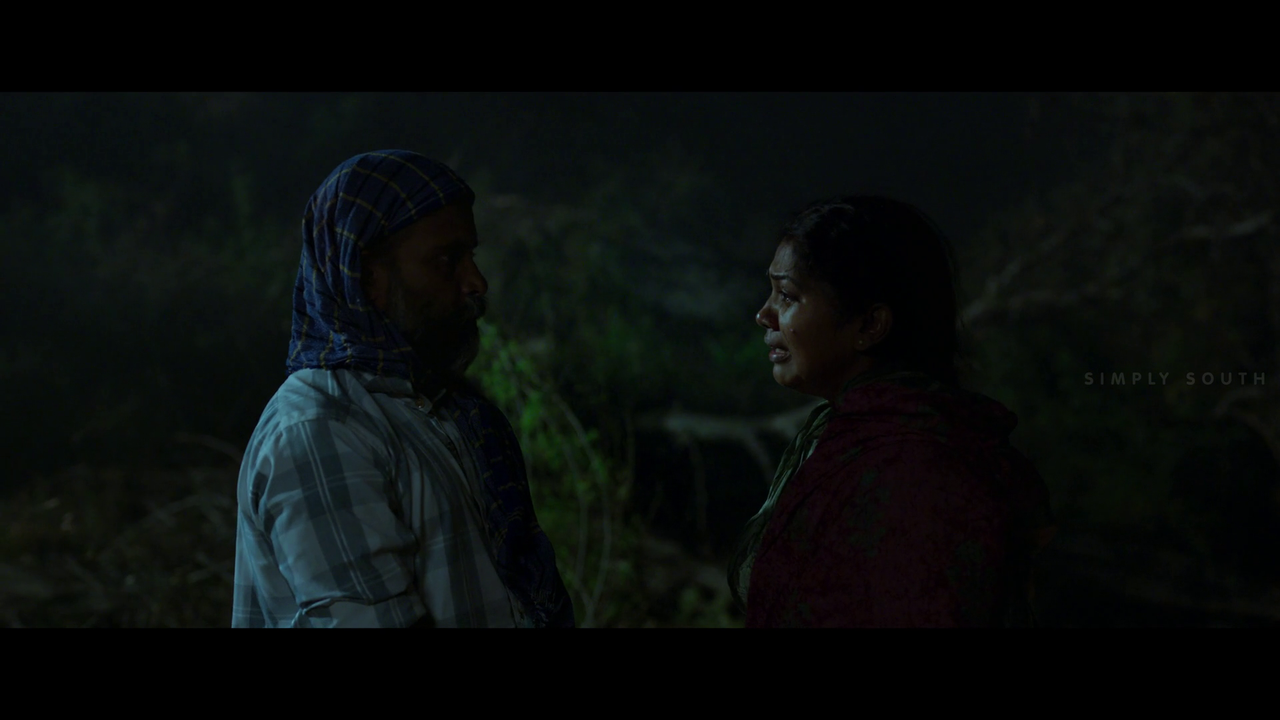 vlcsnap 2025 11 02 13h43m15s277