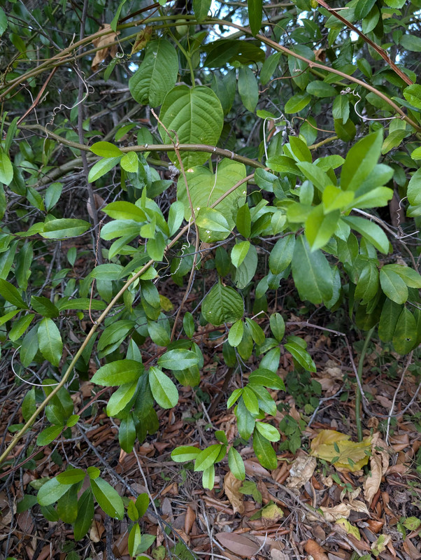 PXL_20250503_234902664