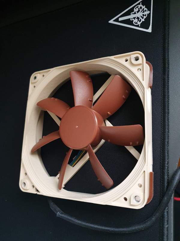 WhatsApp Image 2021-05-03 at 10.38.41