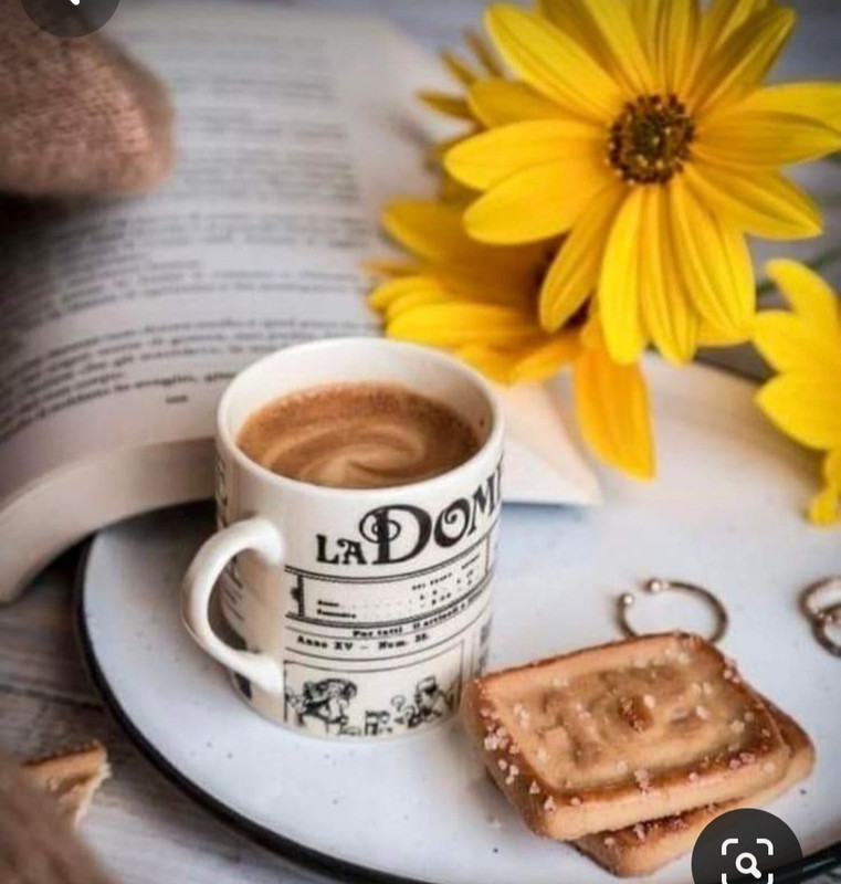 Screenshot_20240428_231414_Pinterest