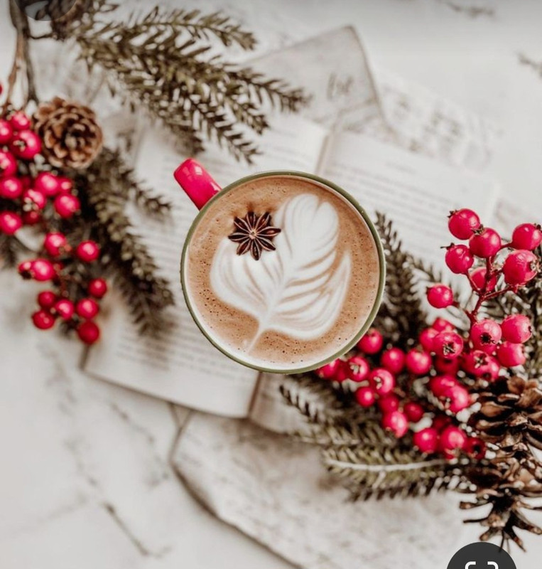 Screenshot_20240103_234028_Pinterest