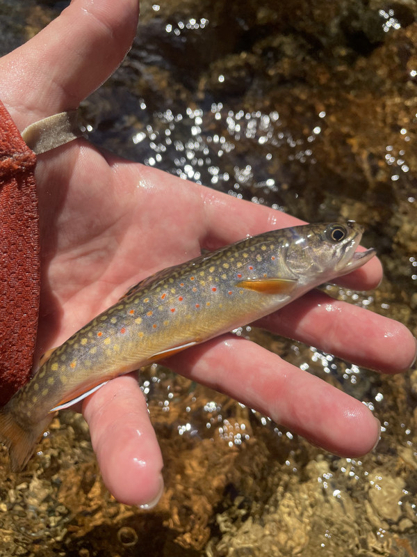 809381F9-AA17-45B6-BE77-B86C5D5EE595