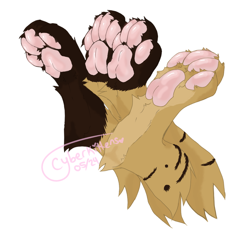 beans-colored-harou.png
