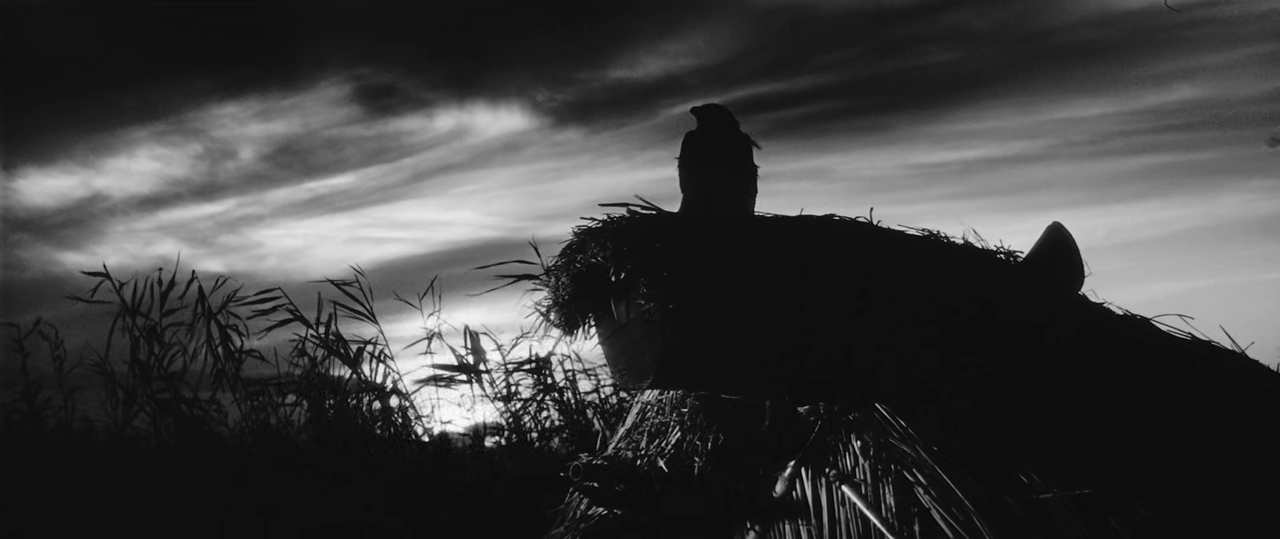 [Immagine: vlcsnap-2024-06-17-21h06m41s426.png]