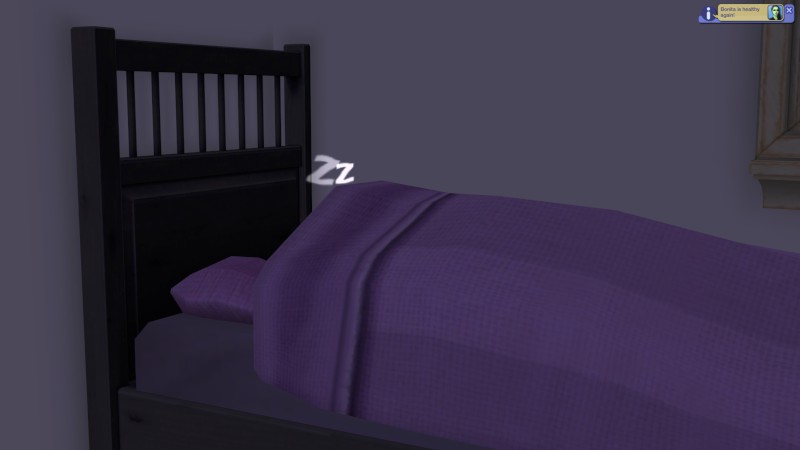 Bonitas-wants-068-800x450