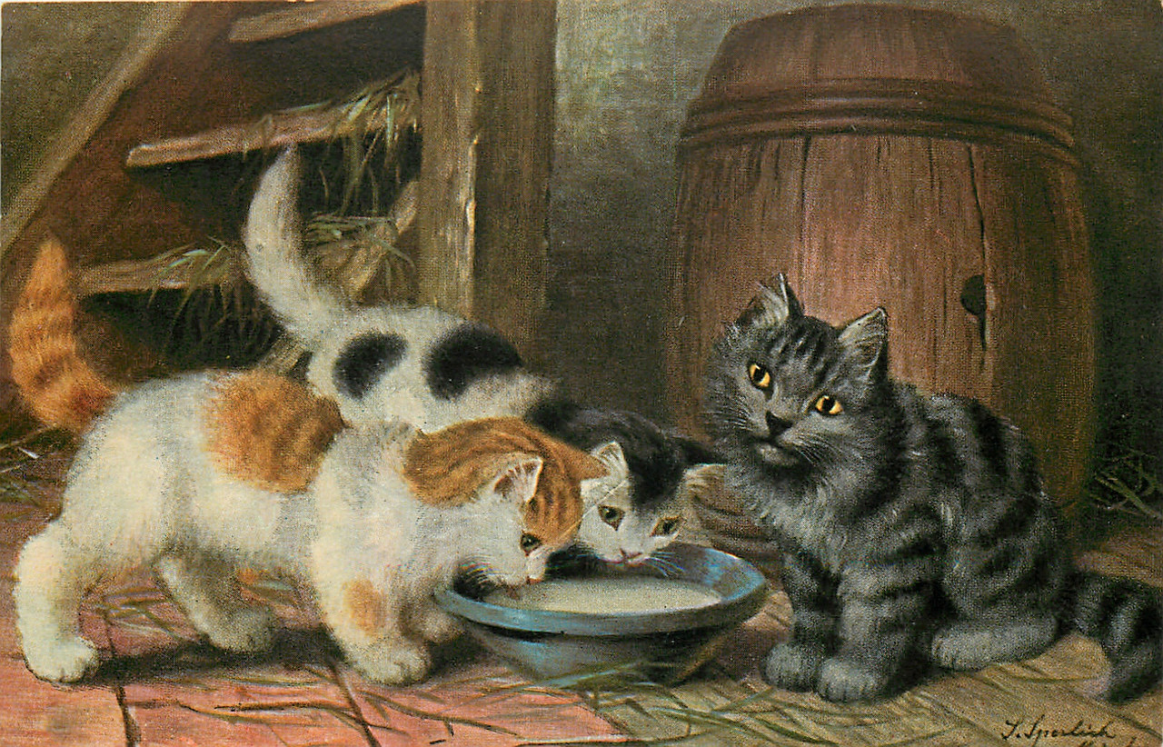 37-2011-11-23-11-28-19