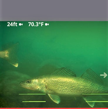 lx-9_alt16-thegem-product-single