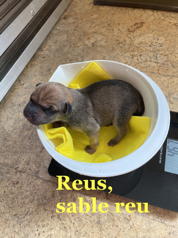 AE9CAFF9-3EF2-423C-8A98-E52911DFC636_1_201_a