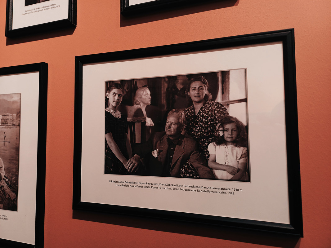 M. ir K. Petrauskų Namai