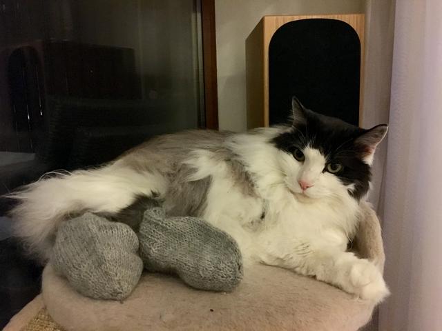 560-BDF6-F-7-A01-4-AFA-8-DAE-034-EAFD200