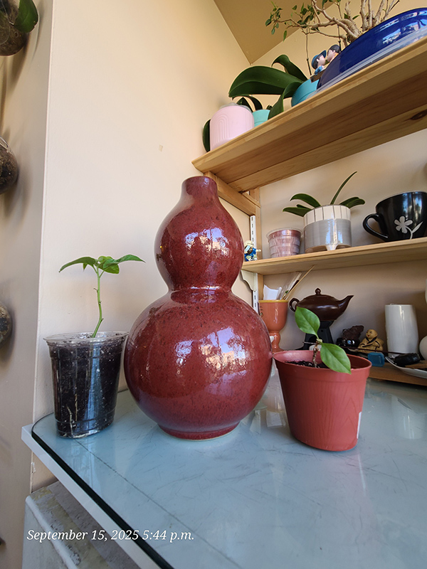 [Image: 20250915-174408.jpg]