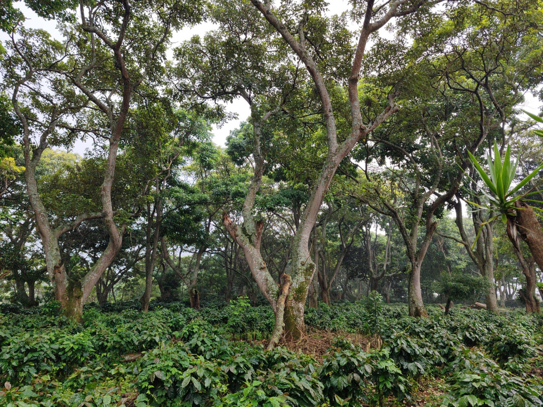 Imagen de fondo para el tema de Gestión Ambiental.